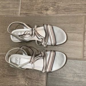 Silver & Bronze Shoes